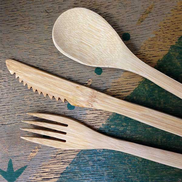 Bamboo