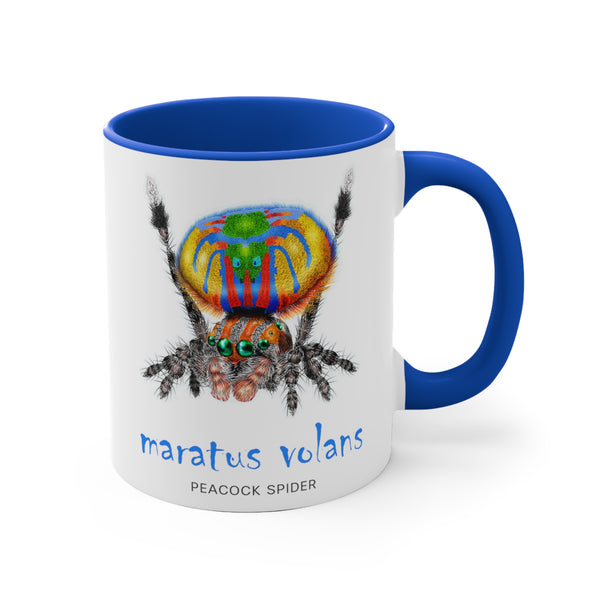 Maratus Volans Peacock Jumping Spider 11 oz. Mug has Blue Color Inside
