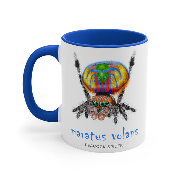 Maratus Volans Peacock Jumping Spider 11 oz. Mug has Blue Color Inside