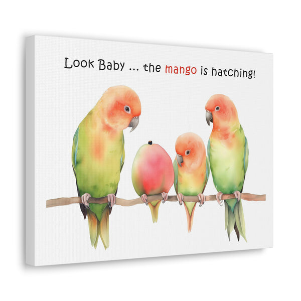 Lovebird Parents and Baby Watching Mango Hatching on a Branch - Funny Canvas Gallery Wraps