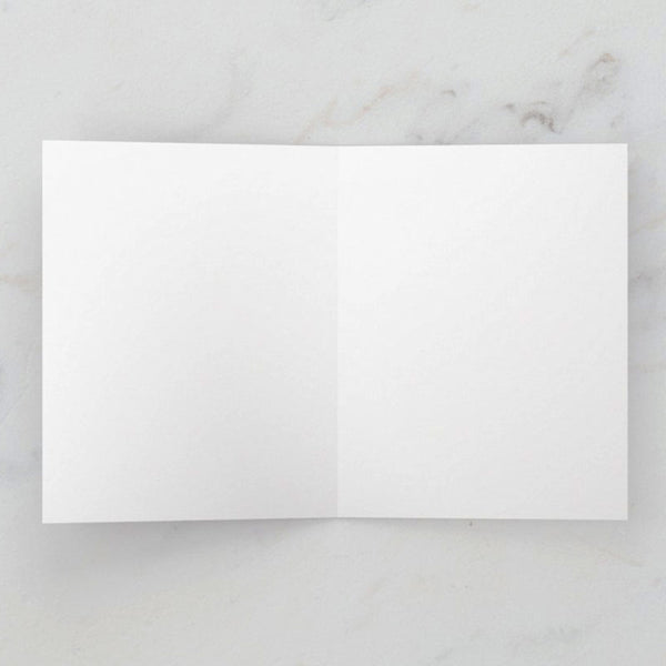 Happy Valentines - You Still Give Me Butterflies Greeting Card, Birds with Hats, Blank, by Vicki Sawyer