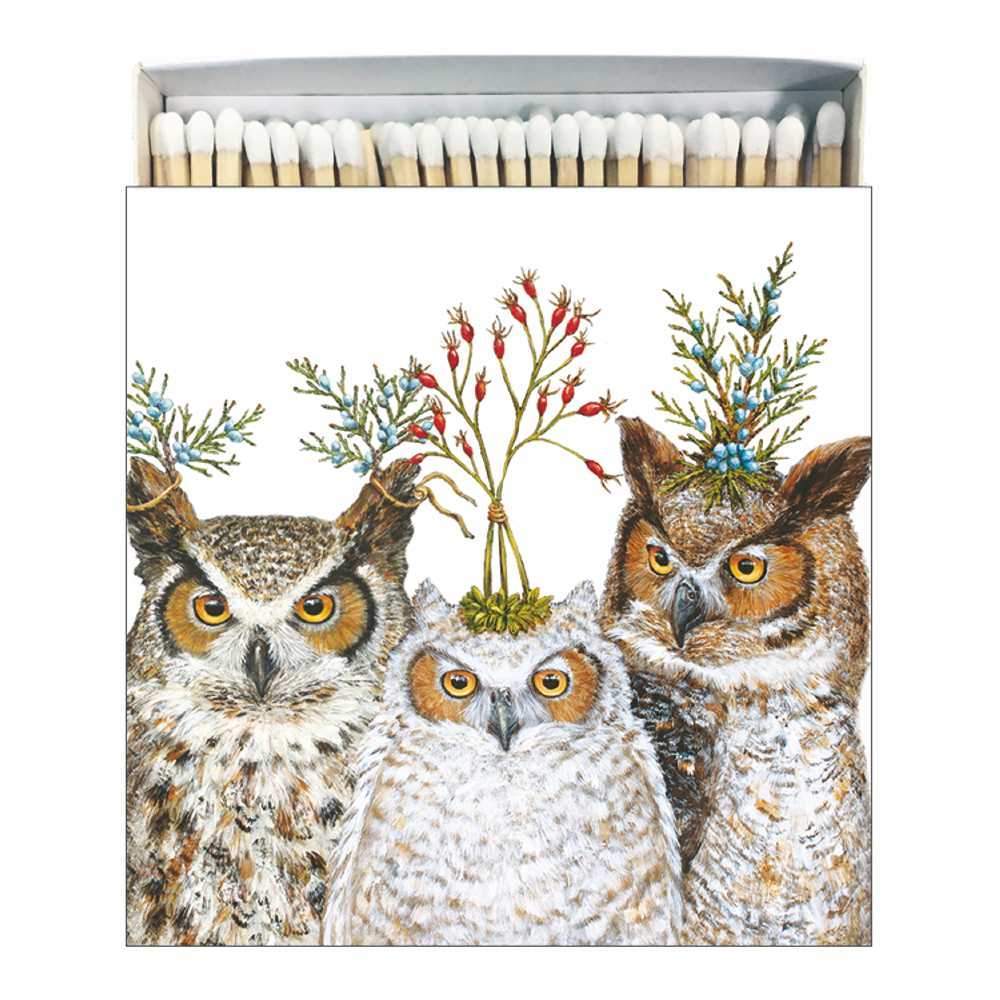 Holiday Hoot - Square Decorative Bird Matches - Artwork by Vicki Sawyer